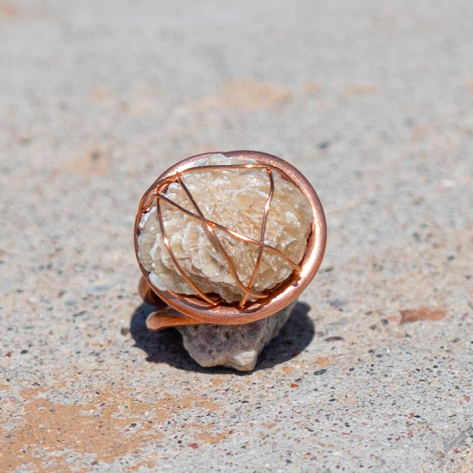 Desert Bloom