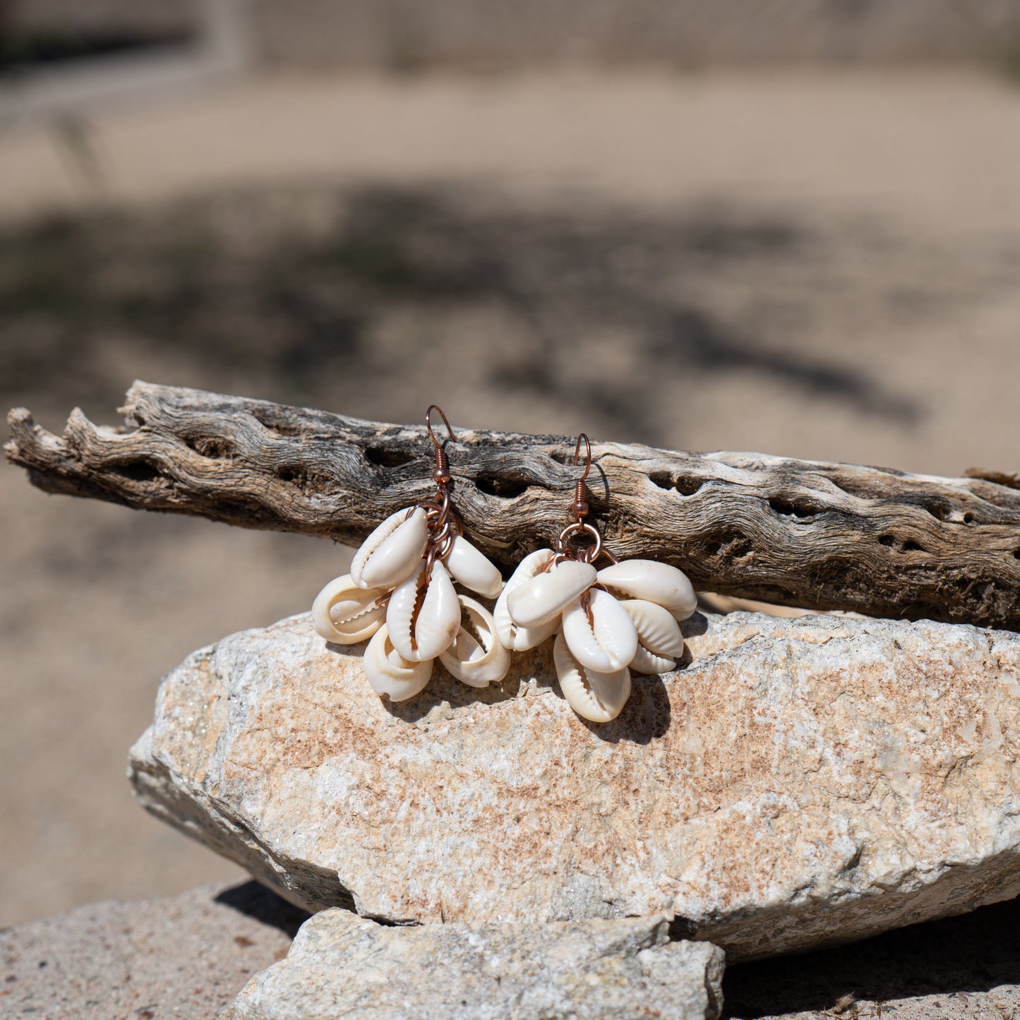 Tidal Cluster – Cowrie Shell Earrings