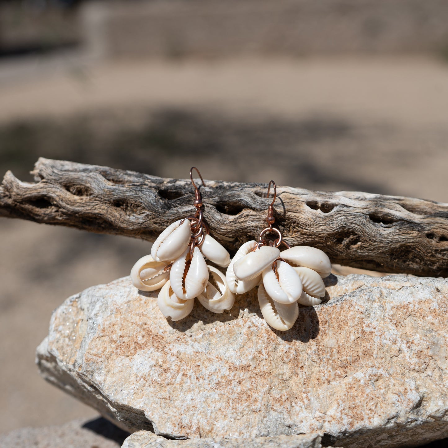 Tidal Cluster – Cowrie Shell Earrings